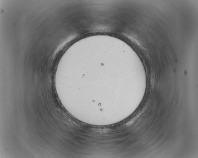 X0000064751309200603131333