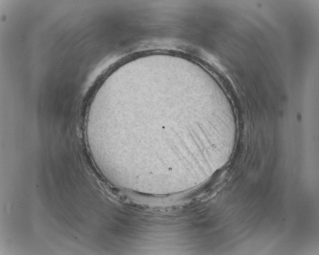 X0000064751312200603131333