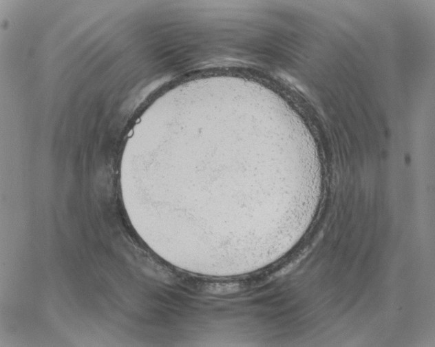 X0000064751313200603131333