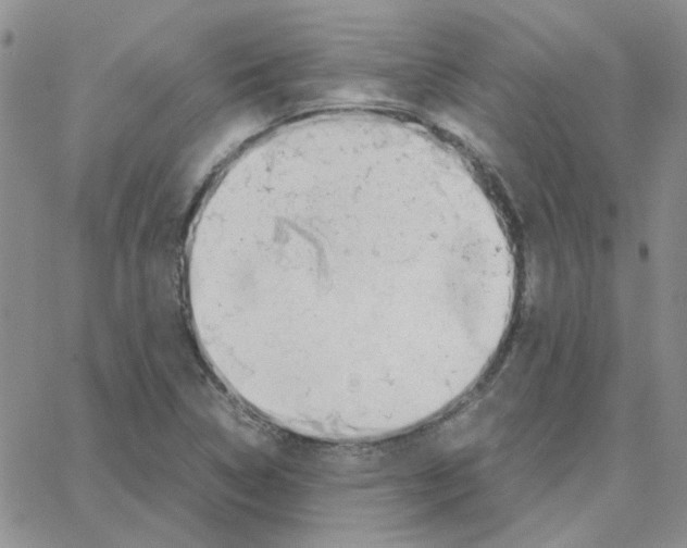 X0000064751314200603131333