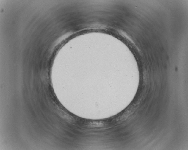 X0000064751315200603131333