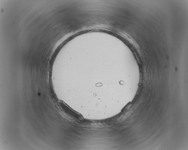 X0000064751316200603131333