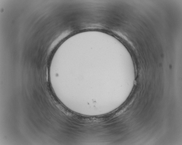 X0000064751317200603131333