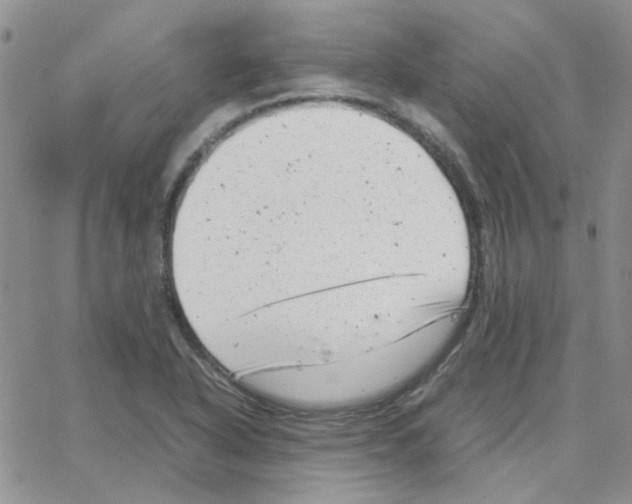 X0000064751318200603131333