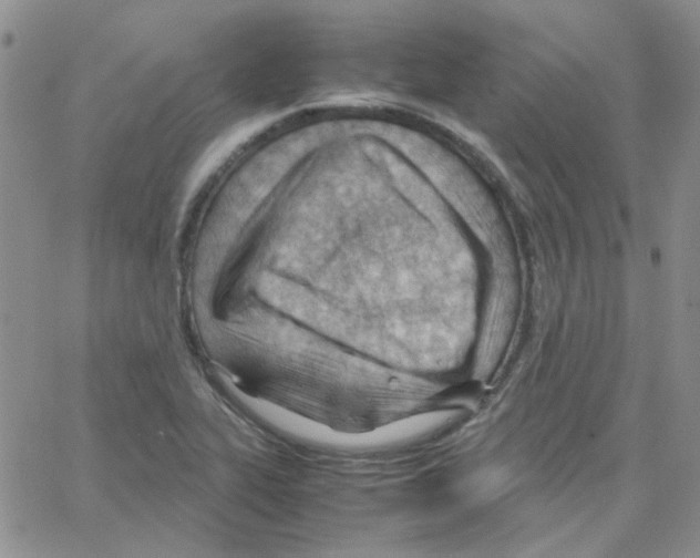 X0000064751319200603131334