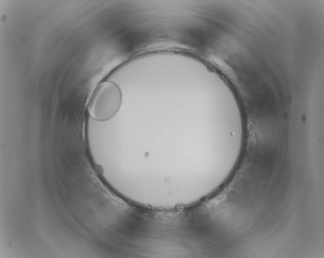 X0000064751322200603131334