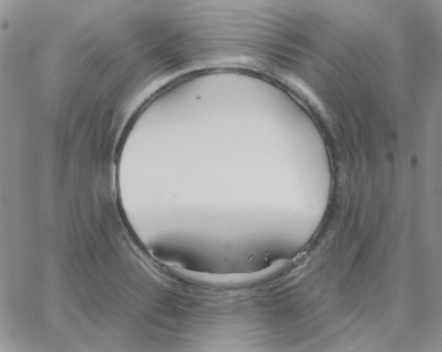 X0000064751324200603131334