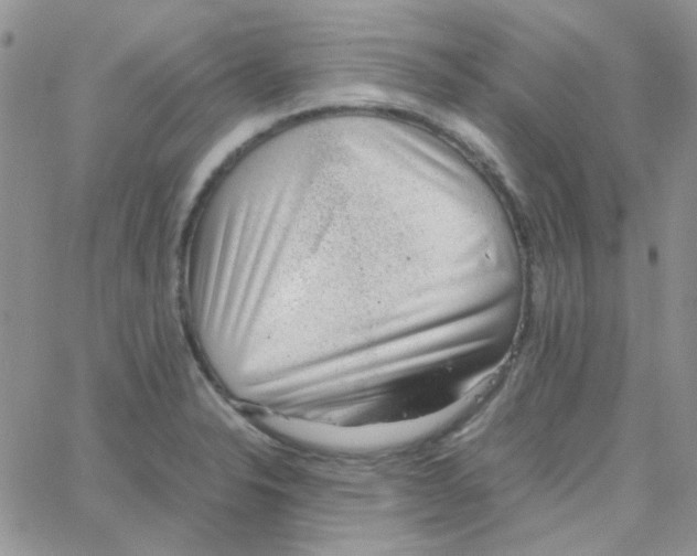 X0000064751326200603131334