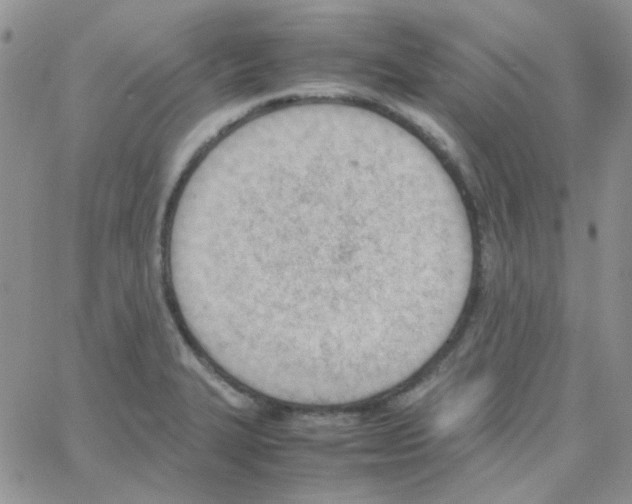 X0000064751327200603131334