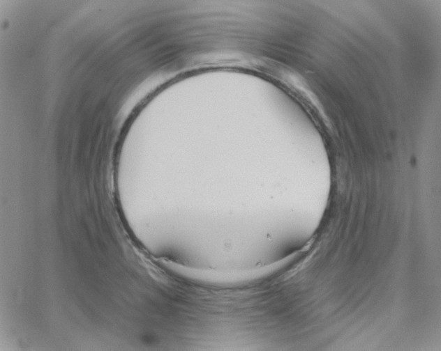 X0000064751328200603131334