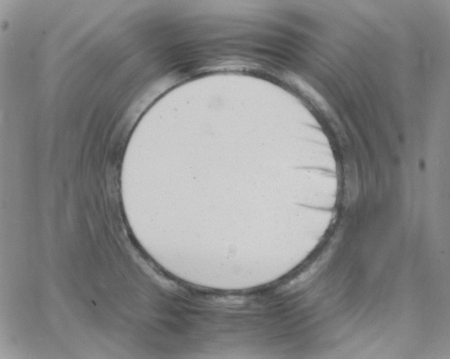 X0000064751329200603131334