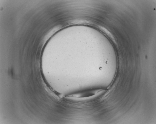 X0000064751330200603131334