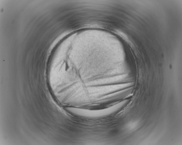 X0000064751331200603131334