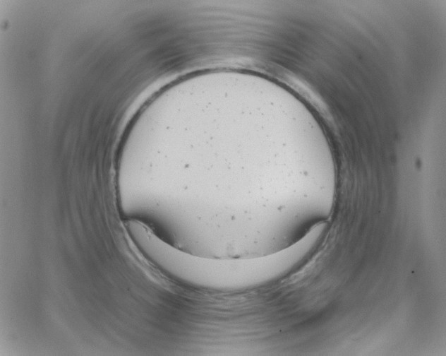 X0000064751332200603131334