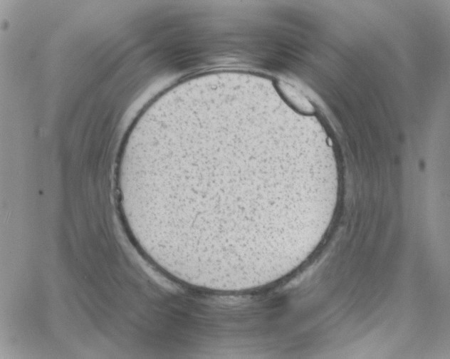 X0000064751333200603131334