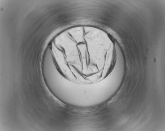 X0000064751334200603131334