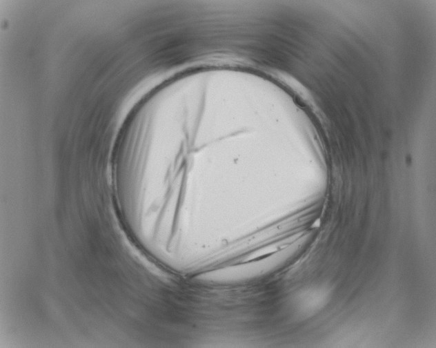 X0000064751335200603131334