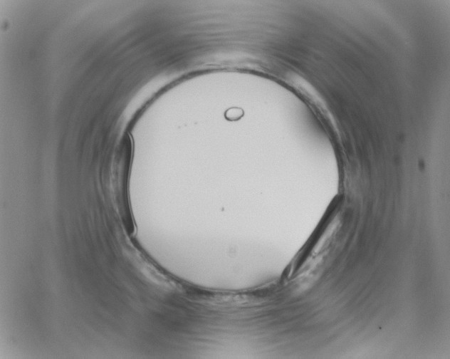 X0000064751336200603131334