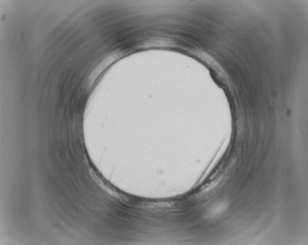 X0000064751337200603131334