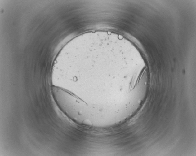 X0000064751338200603131334