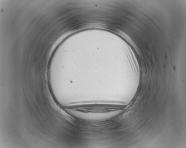 X0000064751339200603131334