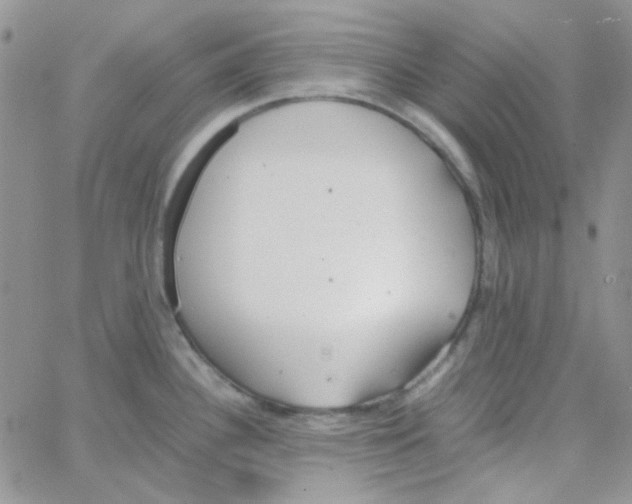 X0000064751340200603131334