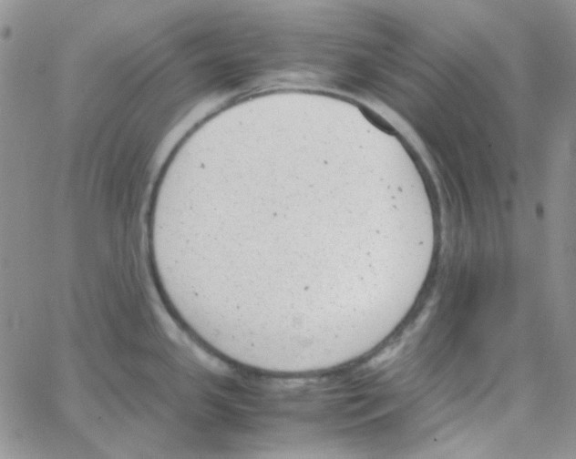 X0000064751341200603131334