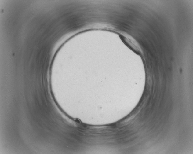 X0000064751343200603131334