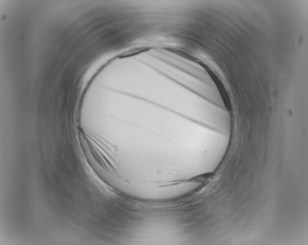 X0000064751344200603131334