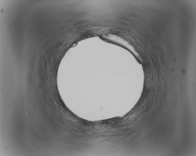 X0000064751345200603131333