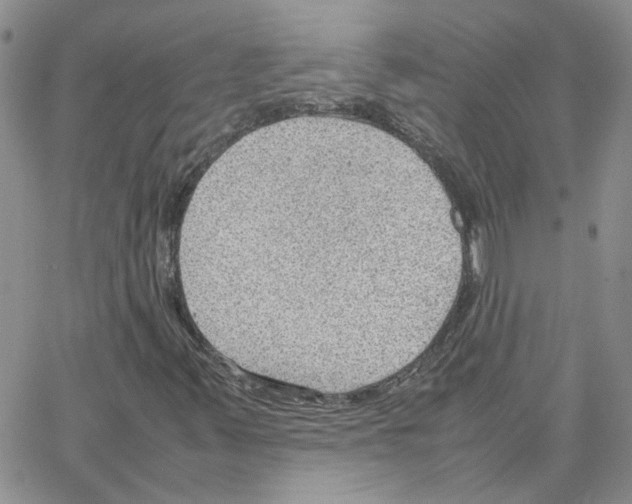 X0000064751347200603131333