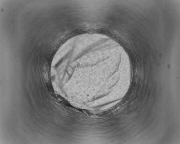 X0000064751348200603131333