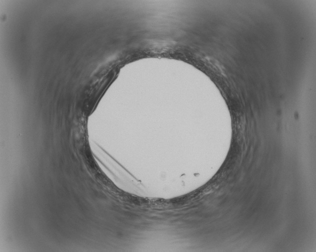 X0000064751349200603131333