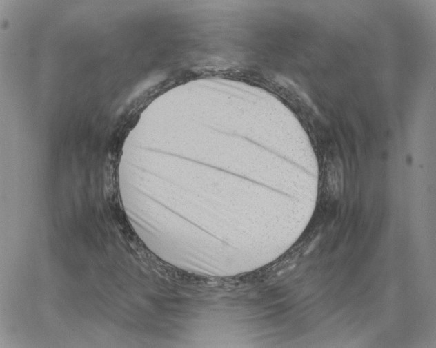 X0000064751350200603131333