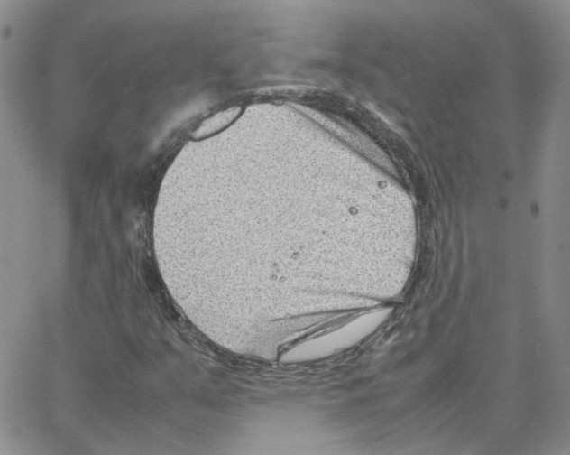 X0000064751351200603131333