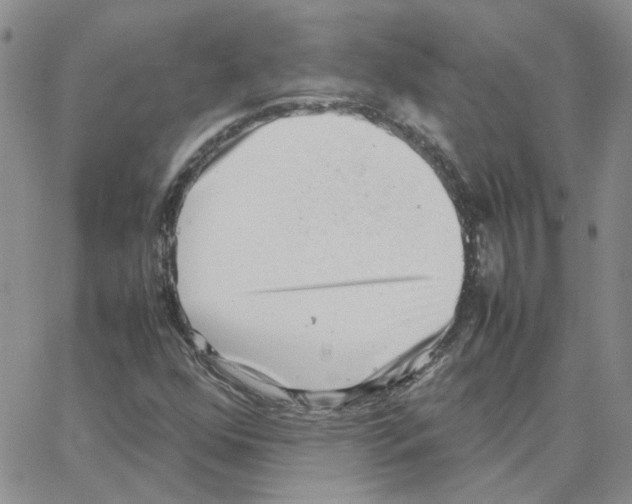 X0000064751352200603131333