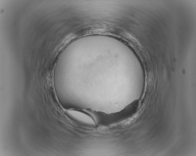 X0000064751353200603131333