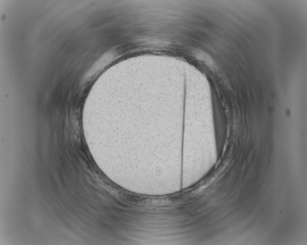 X0000064751354200603131333