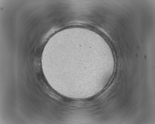 X0000064751355200603131333