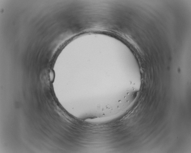 X0000064751356200603131333