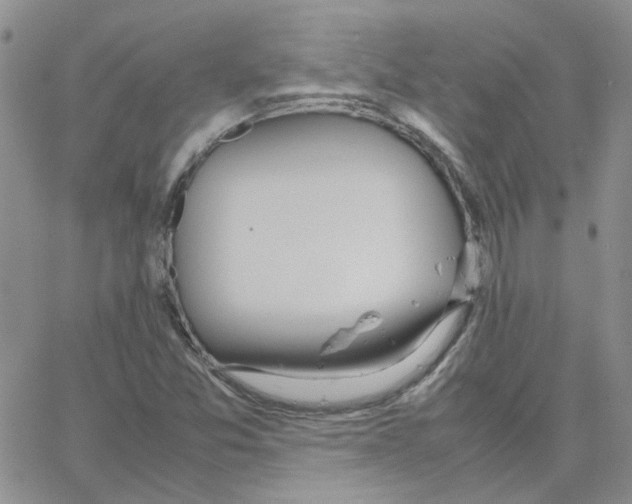 X0000064751357200603131333