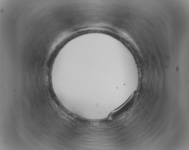 X0000064751360200603131333