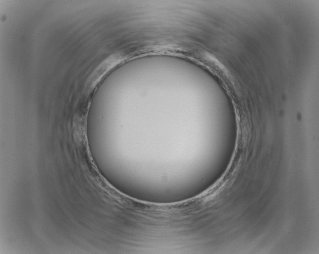 X0000064751361200603131333