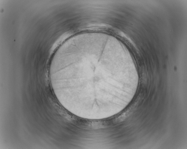 X0000064751362200603131333