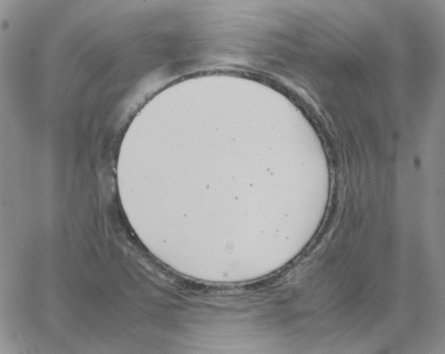 X0000064751363200603131333