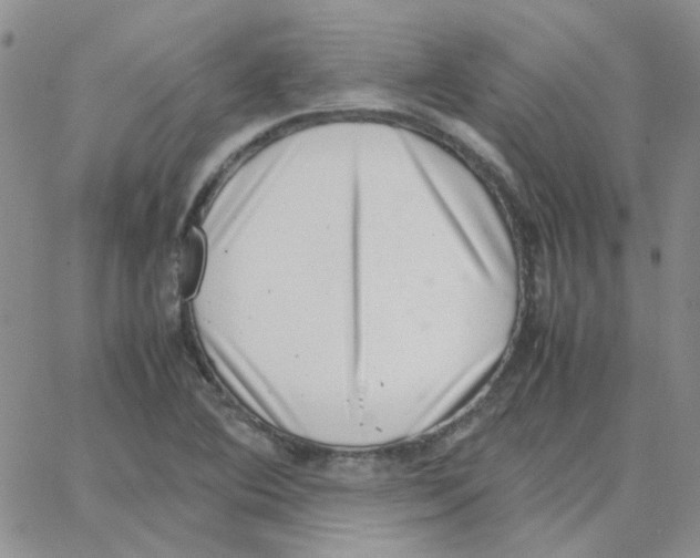 X0000064751364200603131333