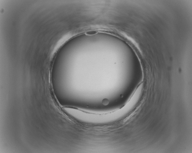 X0000064751365200603131333