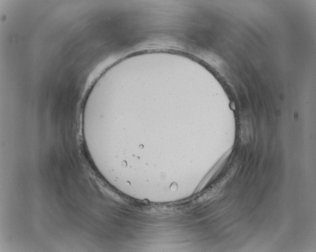 X0000064751366200603131333