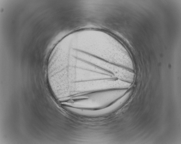 X0000064751367200603131333