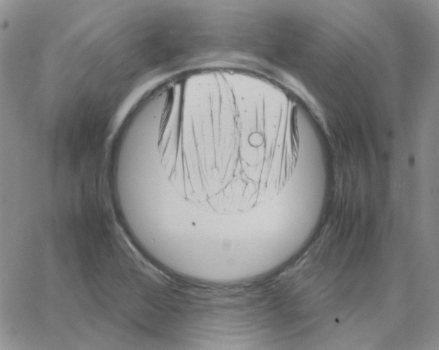 X0000064751368200603131333